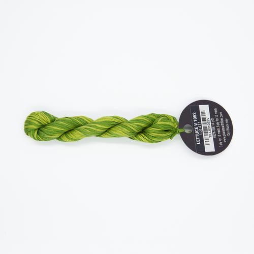 Planet Earth Silk Ply Variegated - Lettuce