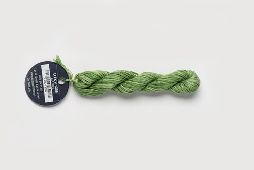 Planet Earth Silk Ply Variegated - Leek