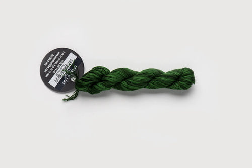 Planet Earth Silk Ply Variegated - Gecko