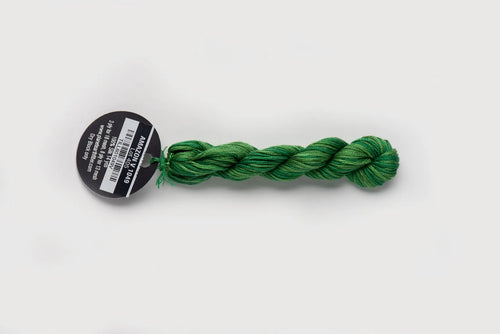Planet Earth Silk Ply Variegated - Amazon