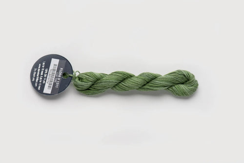 Planet Earth Silk Ply Variegated - Flora