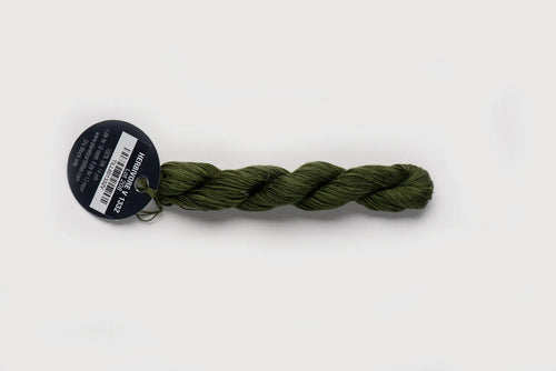 Planet Earth Silk Ply Variegated - Herbivore