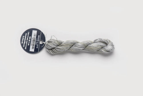 Planet Earth Silk Ply Variegated - Mouse
