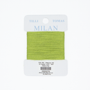 Milan Card- Frog