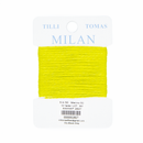 Milan Card- Swamp