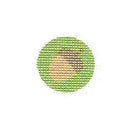 TTF050 - Acorn