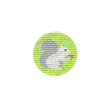 TTF014 - Squirrel