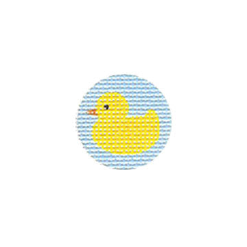 TTF075 - Duck with Light Blue Background